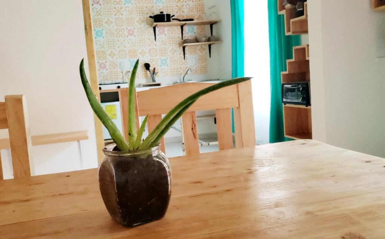 Apartament Kukul'Ik Tapancos San Cristóbal de Las Casas Zewnętrze zdjęcie